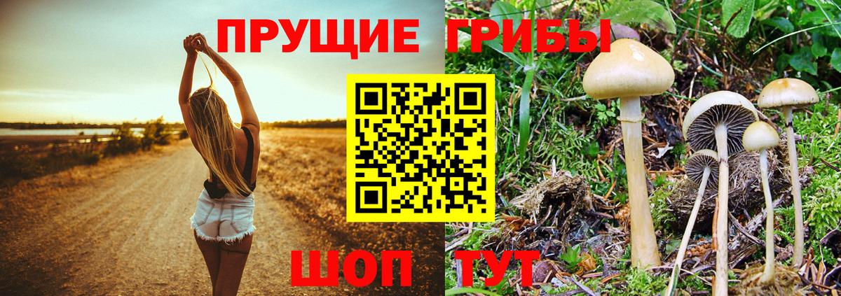 Галлюциногенные грибы мухоморы  Вход с VPN  Рязань 